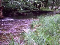 photos 2000-200902510